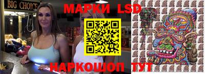 гидропоника Гусев
