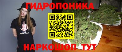 гидропоника Гусев