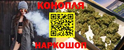 гидропоника Гусев