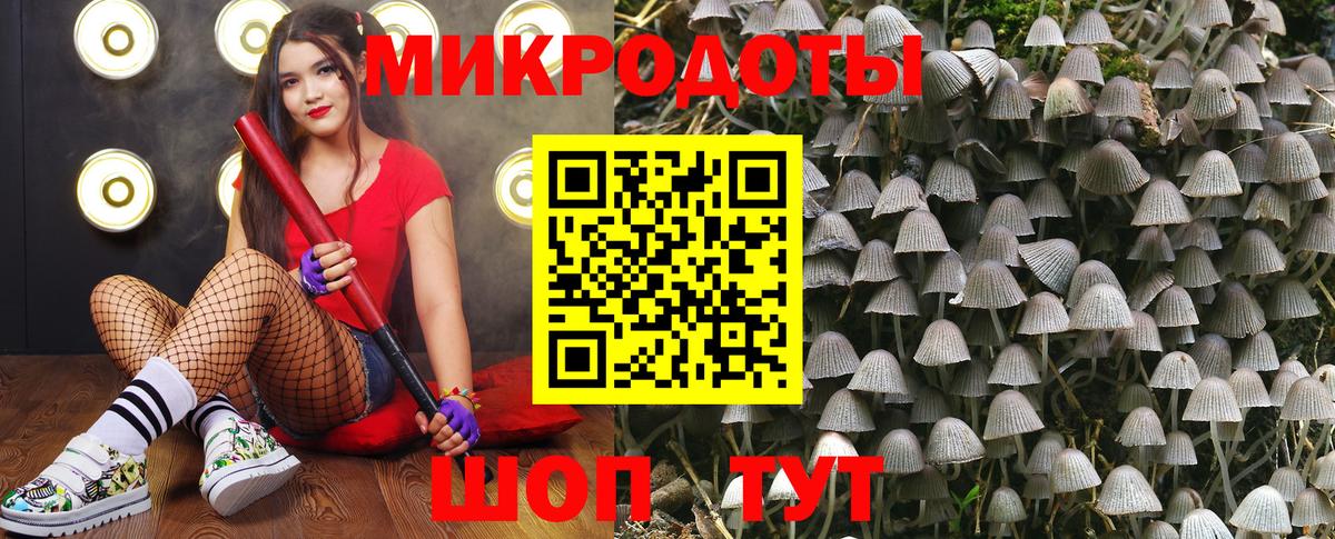 Острогожск  Галлюциногенные грибы Psilocybe  Вход с VPN 