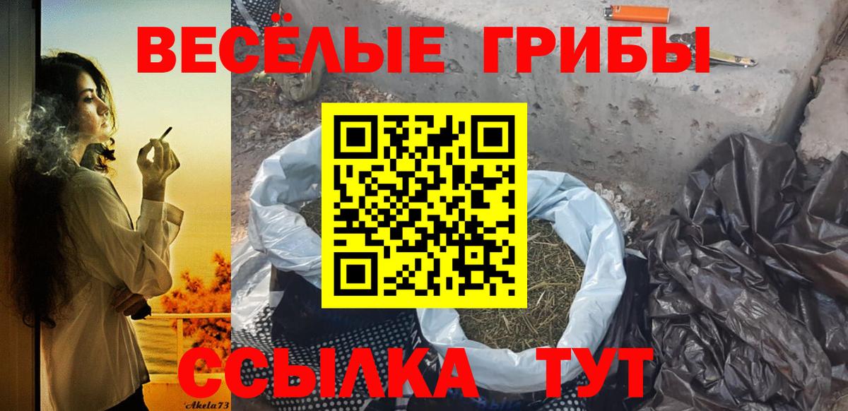 Галлюциногенные грибы ЛСД Острогожск